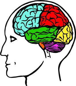 Copy of 15-03-10 Brain - MAGENTAcolour - print version