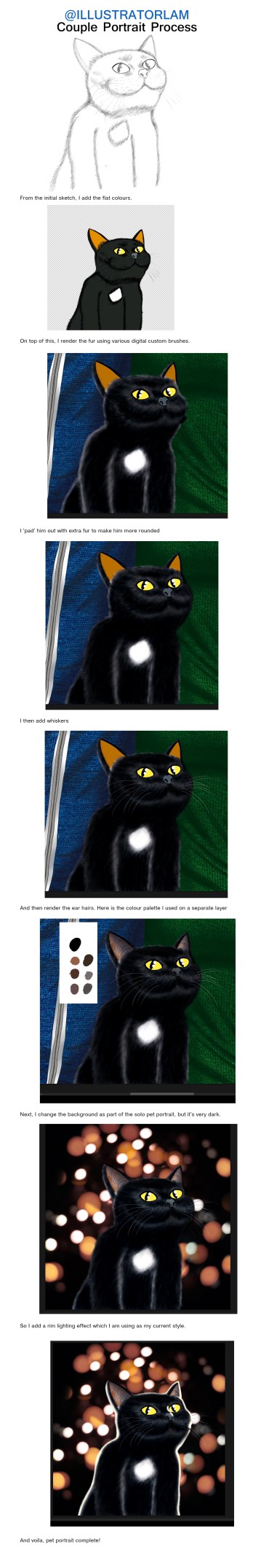 Digital Colouring - Pet Portrait Process